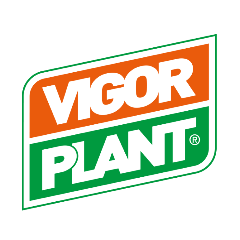 Vigor Plant