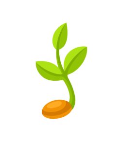 Професионални семена