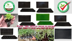 otglezhdane-na-razsad-v-plastmasovi-formi-tabli---klyuchat-kam-uspeshna-gradina