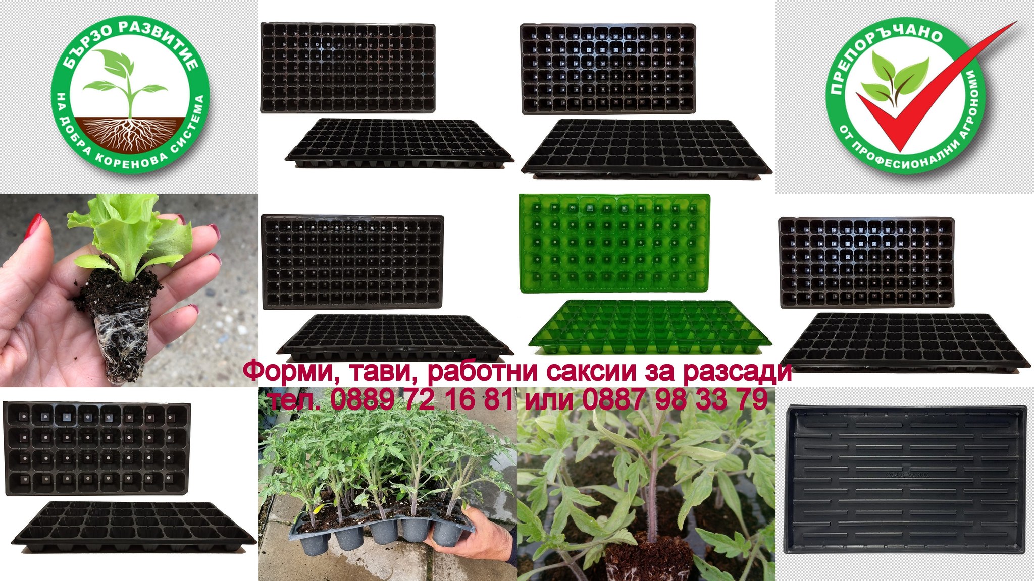 otglezhdane-na-razsad-v-plastmasovi-formi-tabli---klyuchat-kam-uspeshna-gradina