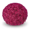 Кълбовидна Хризантема Коори Пърпъл (Chrysanthemum Summer Koori Purple)
