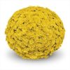 Кълбовидна Хризантема Понто Йелоу (Chrysanthemum Summer Ponto Yellow)