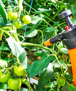 Стимуланти и опрашители