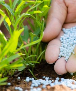 Специални торове