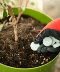 Торни таблетки