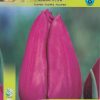 lale-bolroyal-alfa-tulip-bolroyal-alfa-carstvena-krasota-i-stil-za-vashata-gradina