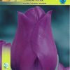 lale-purple-rain-tulip-purple-rain-elegantna-krasota-koyato-shte-preobrazi-vashata-gradina