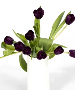 Лале Blackjack (Tulip Blackjack) – Кадифена елегантност и мистична красота за вашата градина!