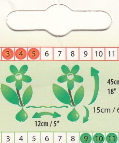 Лале Tulip Match