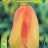 Лале Пурисима Оранж (Tulip Purissima Orange) – Топло, слънчево и завладяващо!