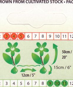 Лале Балада Оранж (Tulip Ballade Orange)-Огнен изящен танц в градината!
