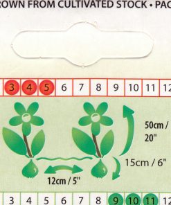 Лале Карусел (Tulip Carrousel)- Вихър от цветове за вашата градина!