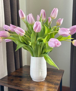 Лале Канди Принс (Tulip Candy Prince)- Елегантен цвят и нежен аромат!