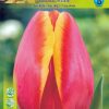 Лале Уърлдс Фейвърит (Tulip World`s Favourite) - Невероятна феерия от цветове!