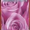 Роза лилава № 006 (корен) – Височина до 100 см