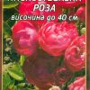 Роза червена нискостъблена № 033 (корен) – Височина до 40 см
