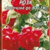 Роза червена увивна № 051 (корен) – Височина до 300 см