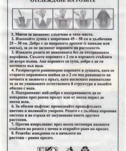 Рози корени