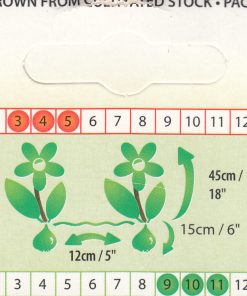 Лале Анжелика (Tulip Angelique) - Романтична нежност и пищност!