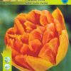 Лале Монте Ориндж (Tulip Monte Orange)- Огнена експлозия в градината!