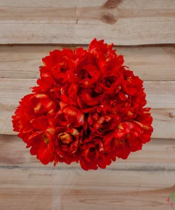 Лале Монте Ориндж (Tulip Monte Orange)- Огнена експлозия в градината!