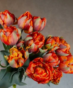 Лале Ориндж Принсес (Tulip Orange Princess)- Кичеста принцеса в оранжево!