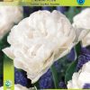 Лале Ъп Уайт (Tulip Up White)-Нежна и чиста пролетна елегантност!