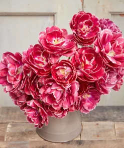 Лале Дрийм Тач (Tulip Dream Touch)- Кадифена елегантност в пурпур!