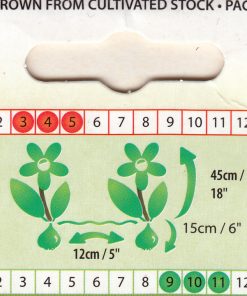 Лале Лайлак Пърфекшън (Tulip Lilac Perfection)- Класическа елегантност в лилаво!