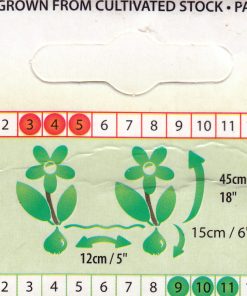 Лале Ориндж Принсес (Tulip Orange Princess)- Кичеста принцеса в оранжево!
