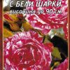 Роза цикламена с бели шарки № 020 (корен) – Височина до 90 см
