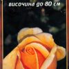 Роза пясъчна № 024 (корен) – Височина до 80 см