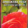 Роза тъмно оранжева № 025 (корен) – Височина до 80 см