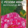 Роза цикламена с розови ивици № 028 (корен) – Височина до 80 см