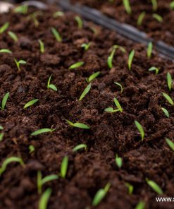 Субстрат за разсади Bio Plantella Start 20 литра