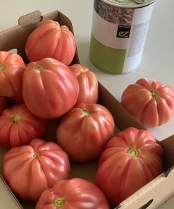 Домати Mamipink F1 (Мамипинк F1) – Иновативен розов домат от градински тип