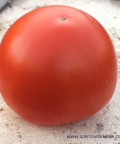 Домати Bahram F1 (Бехрам F1) – Нов детерминантен хибрид за поле