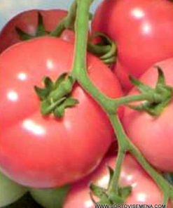 Домати Dimerosa F1 (Димероса F1) – Ранен розов хибрид за зимно производство