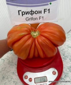 Домати Grifon F1 (Грифон F1) – Червеният хибрид от градински тип