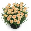 Карамфил Dianthus Sunflor® Bling Bling (В контейнер)