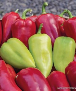 Пипер Kantata F1 (Кантата F1) – Универсален сладък пипер
