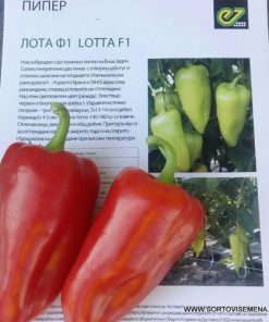 Пипер Lotta F1 (Лота F1) – Ранен хибрид с дебел перикарп