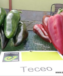 Пипер Teseo F1 (Тесео F1) – Тъмно зелен хибрид