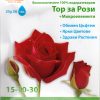 Тор за Рози 15-10-30 (ОПАЛ ЗИ)– За буен цъфтеж и здрави стъбла!