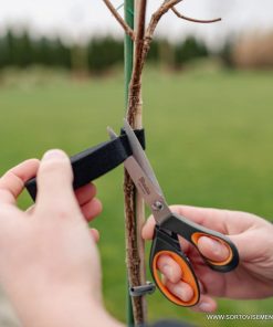 Комплект от универсални ножици CLASSIC 3 бр.– За дома и градината!