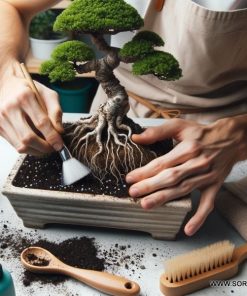 Торопочвен субстрат за бонсай 5 литра