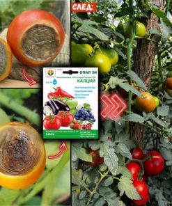Тор Калций (ОПАЛ ЗИ)– Мощна защита срещу гниене и напукване на плодовете!