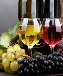 Винени сортове лози