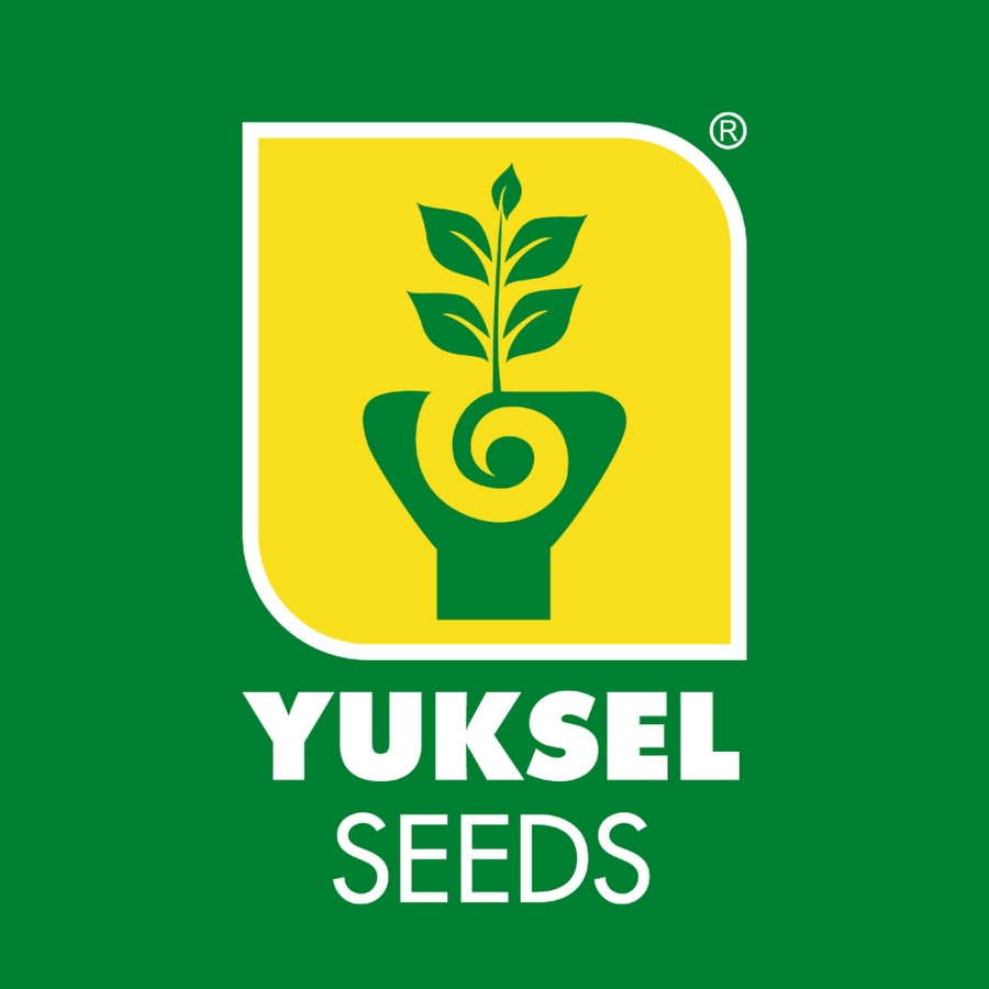 Yüksel Seeds