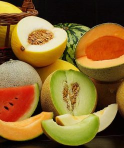 Пъпеши - професионални семена